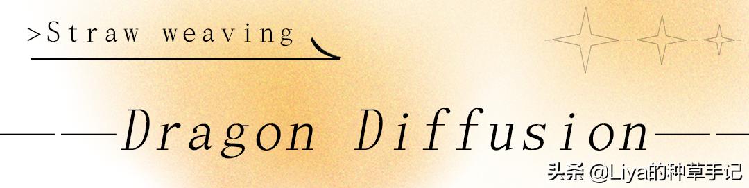 夏天必备的草编包清爽又百搭,草编包高级感时尚漂亮
