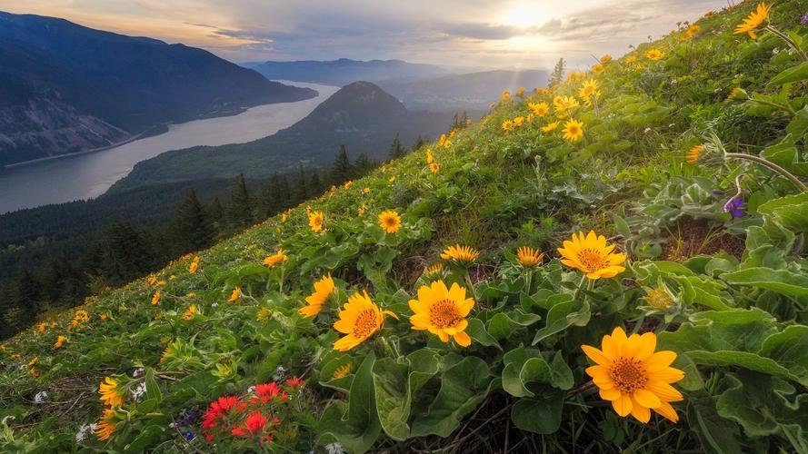 江苏mpacc考研班哪个靠谱,mpacc考研哪些大学不歧视