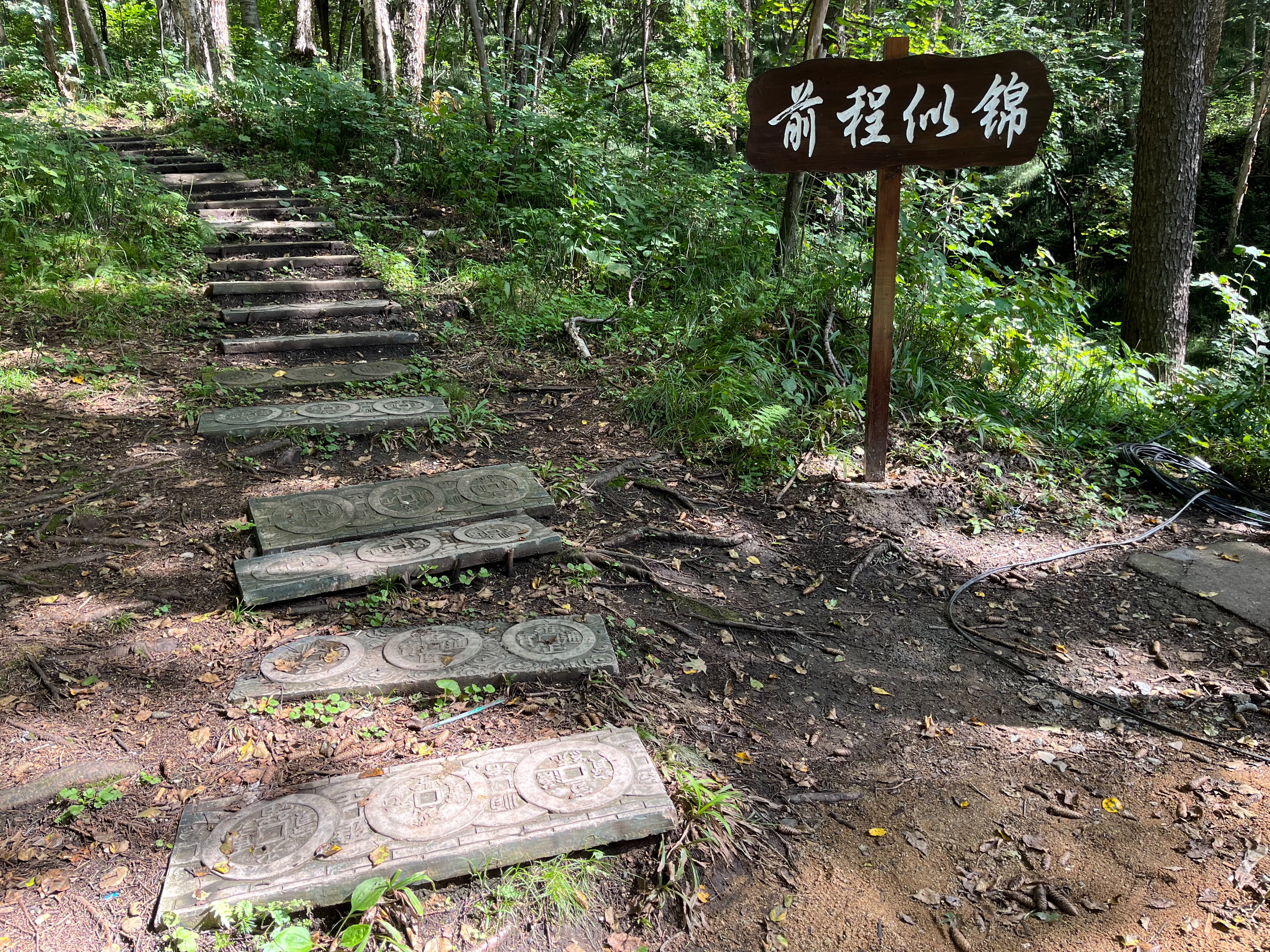 夫妻自驾11000公里,夫妻两人自驾游最新视频