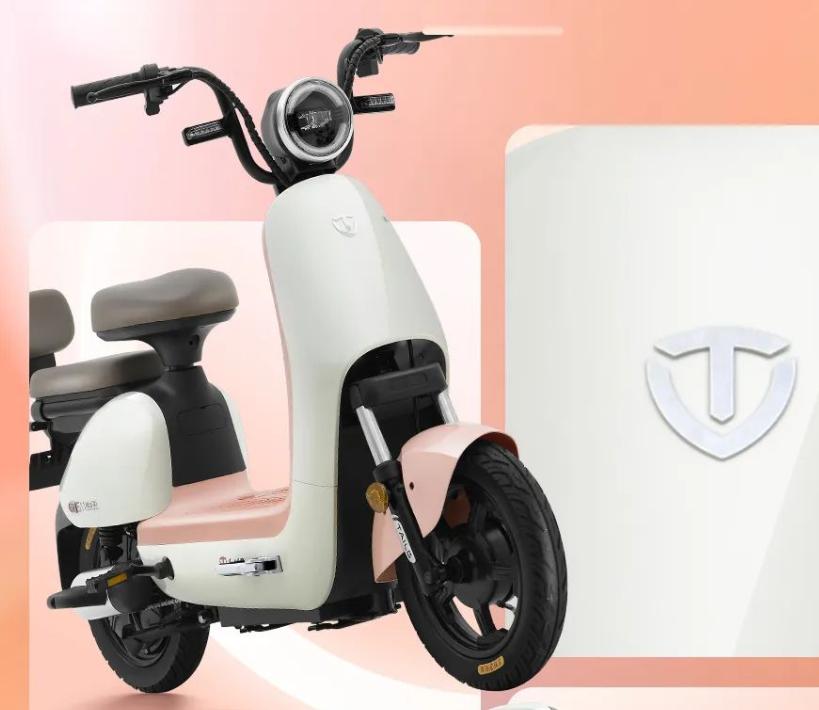 台铃最好的一款新国标电动自行车,小刀电动自行车2020款超大续航