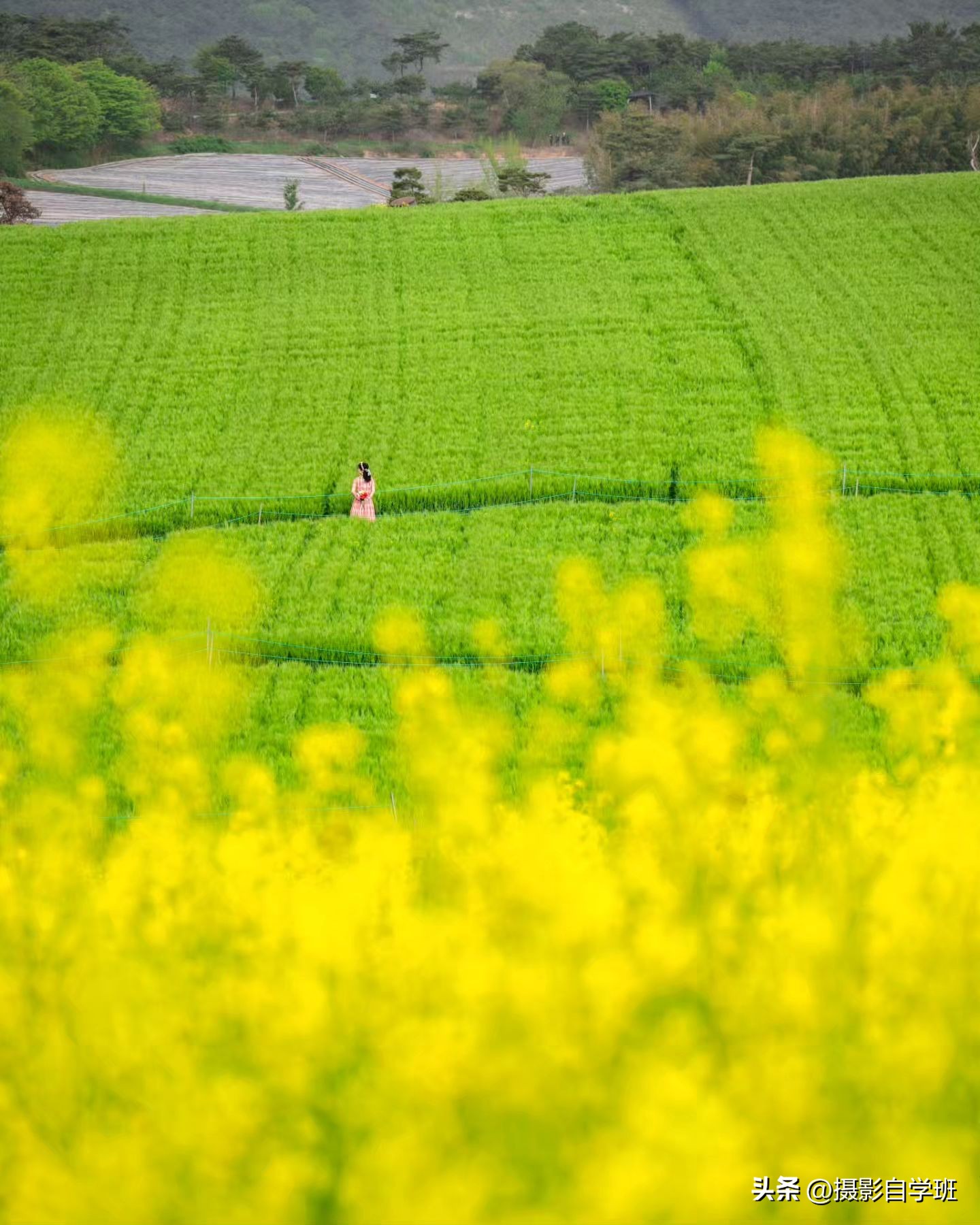 夏天怎么拍照更有夏天感觉,如何拍好夏天的照片