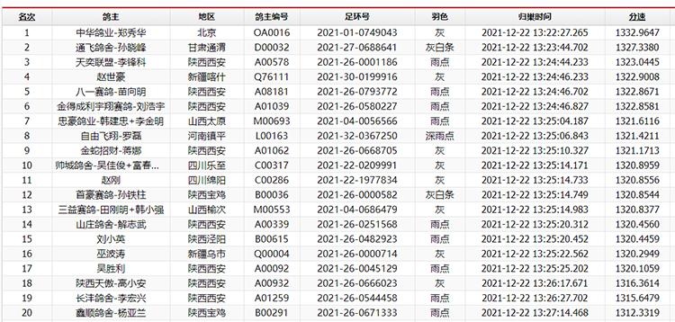 国际公棚鸽王赛,2022国际鸽联