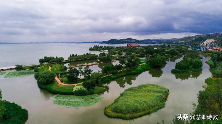 四年级下册习作五优秀范文100字,四年级下册1-8单元习作范文