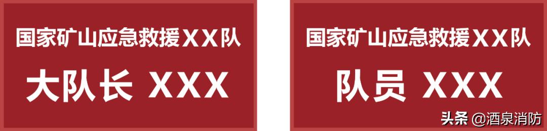 国家安全生产应急救援专业队服,安全生产应急救援队伍标识