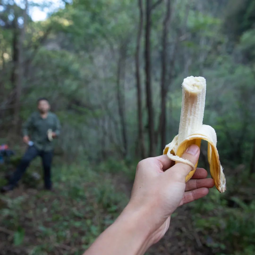登太白山感受,太白山景区登顶拔仙台