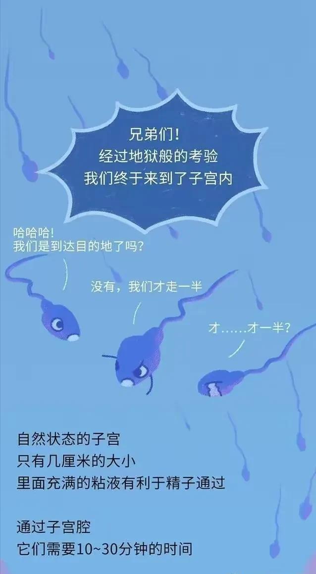 精子进入女性体内，会发生什么？有些刺激（漫画）