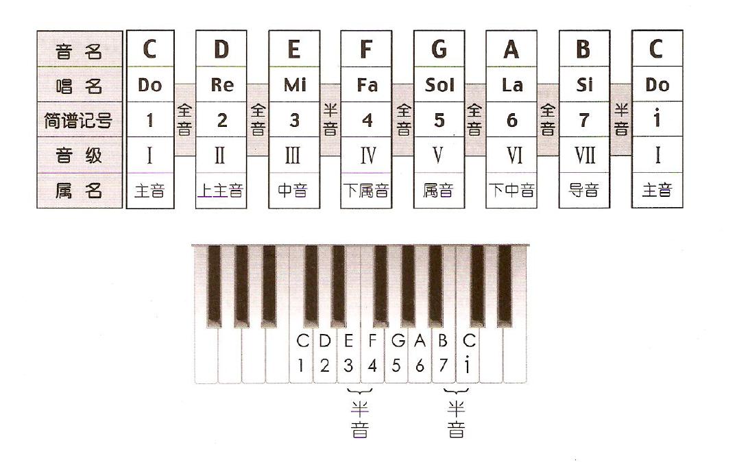 吉他教材哪个书最好,吉他入门教程书哪本最好