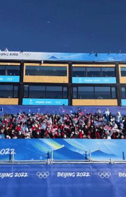 冬奥张国伟比赛视频,张国伟奥运搞笑