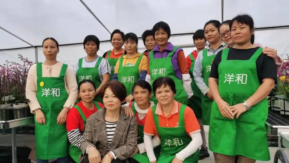 优秀巾帼人物事迹,优秀巾帼人物公示