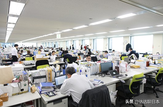 日本大学生就业行业,日本大学生就业最好的专业