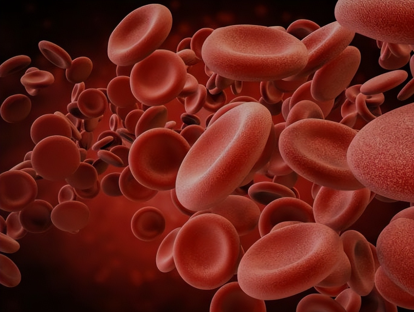 血常规哪些项目异常要警惕,血常规这几项异常一定要引起重视