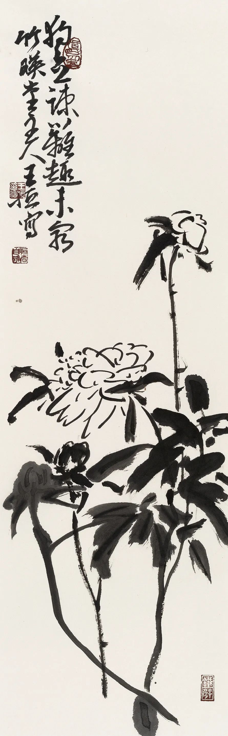 撷英丨王恒·写意之生