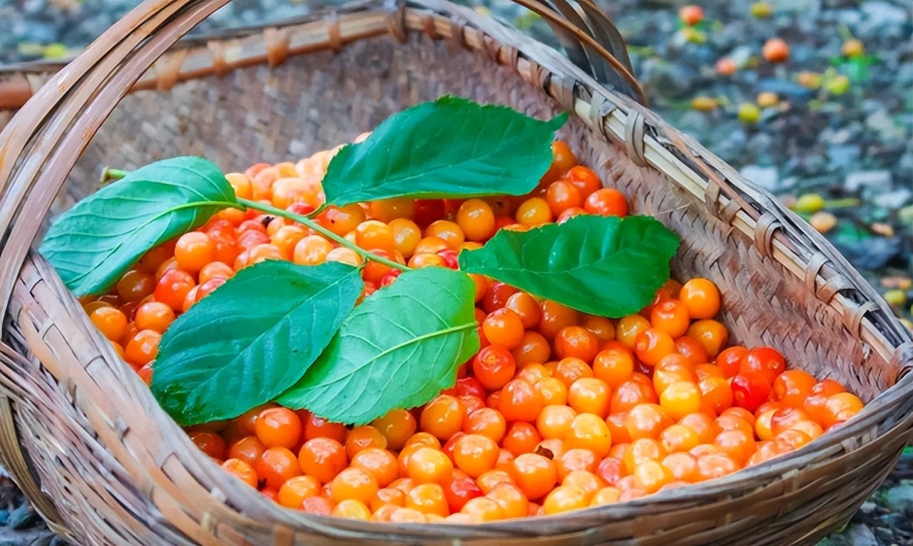 十堰特色美食八大碗,湖北十堰的特色美食有哪些