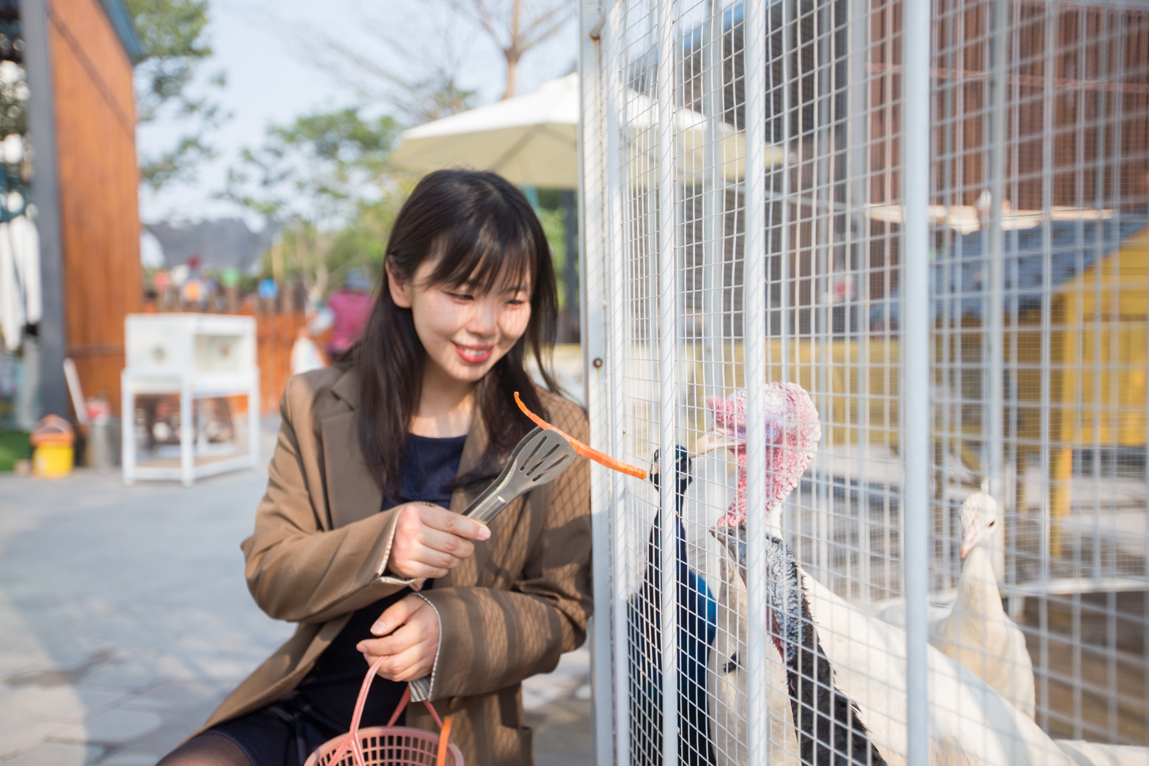 广州南沙金茂万豪酒店附近景点,广州南沙金茂万豪酒店怎么进去