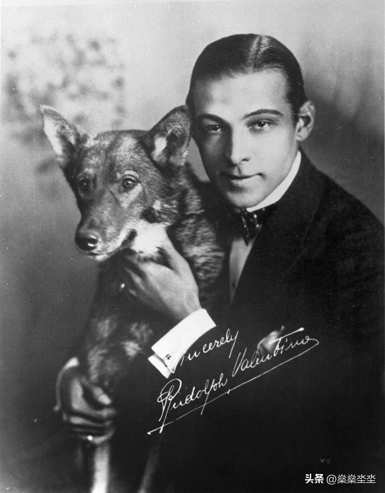 女人爱的不是我，我只是女人们用来描绘她们梦想的画布