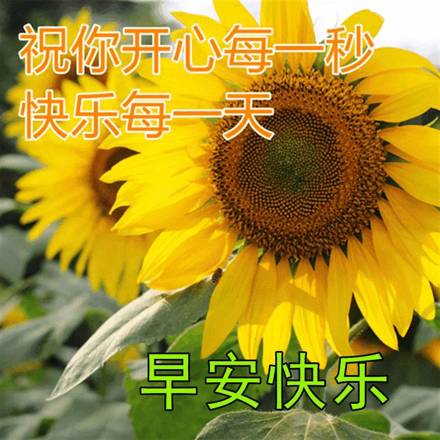 庚子日柱2023年癸卯年运势,癸卯年2023年哪个月出生最好