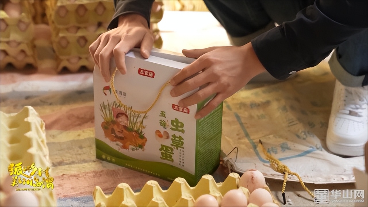 选调生助力乡镇,驻村干部助力乡村振兴