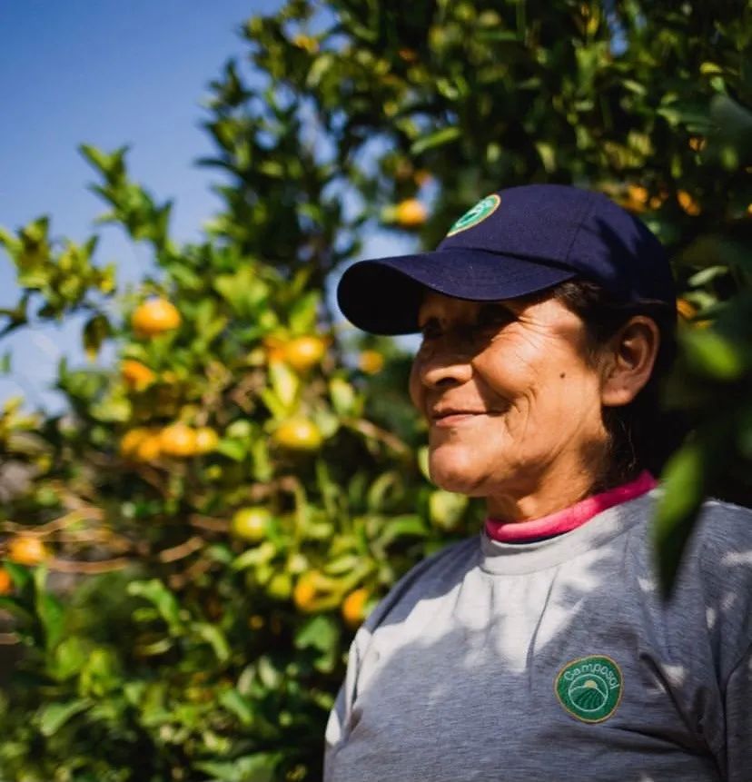 蓝莓可增强视力消除眼睛疲劳,吃蓝莓和吃胡萝卜哪个对视力更好