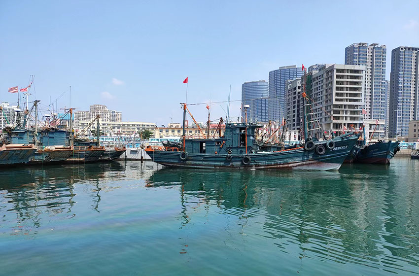 夏游山全部视频,夏天去灵山岛好吗