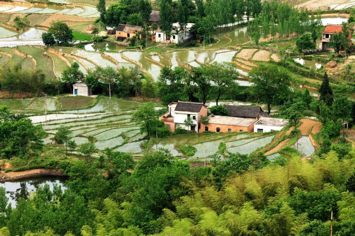 九华山三大特色,九华山有什么美丽景色