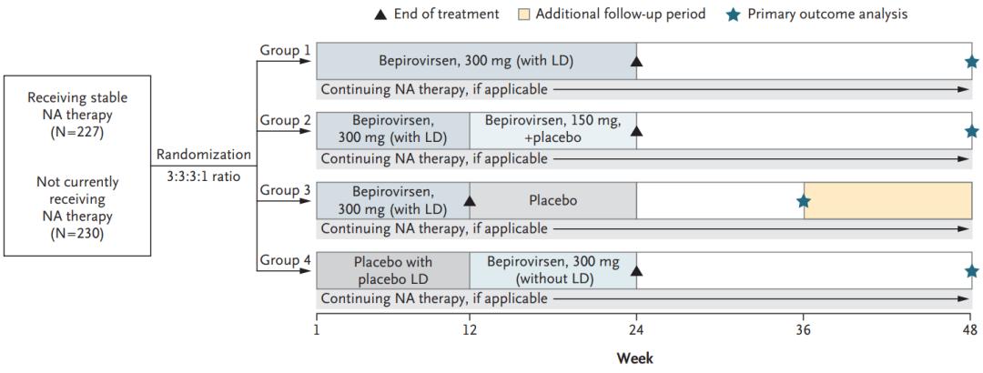 韦立得功能性治愈乙肝需多长时间,乙肝重大突破治愈药物研发