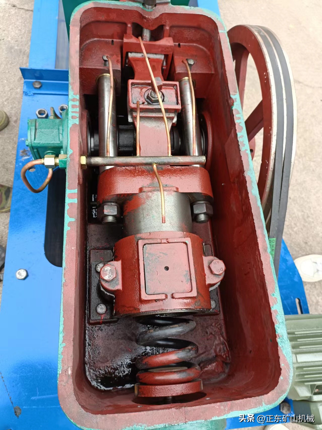 6s摇床如何分左右方向,6s摇床处理量