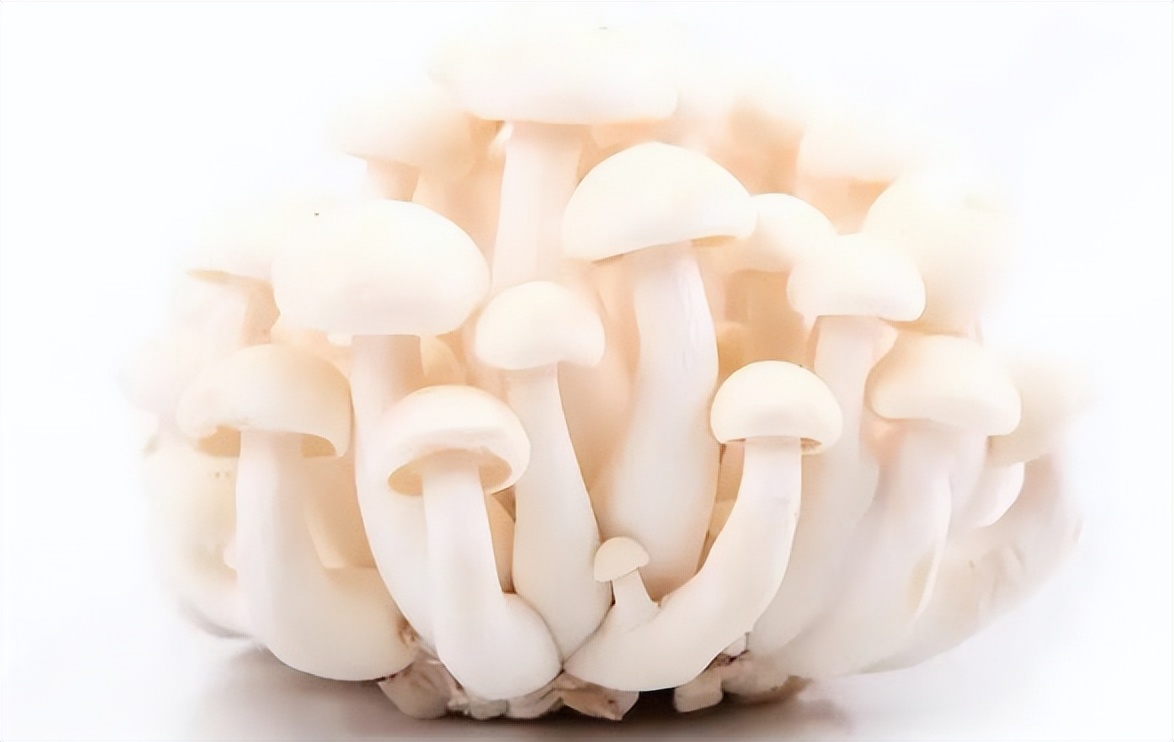 澳洲超市蔬菜推荐,澳洲超市国人不知道的几种食材