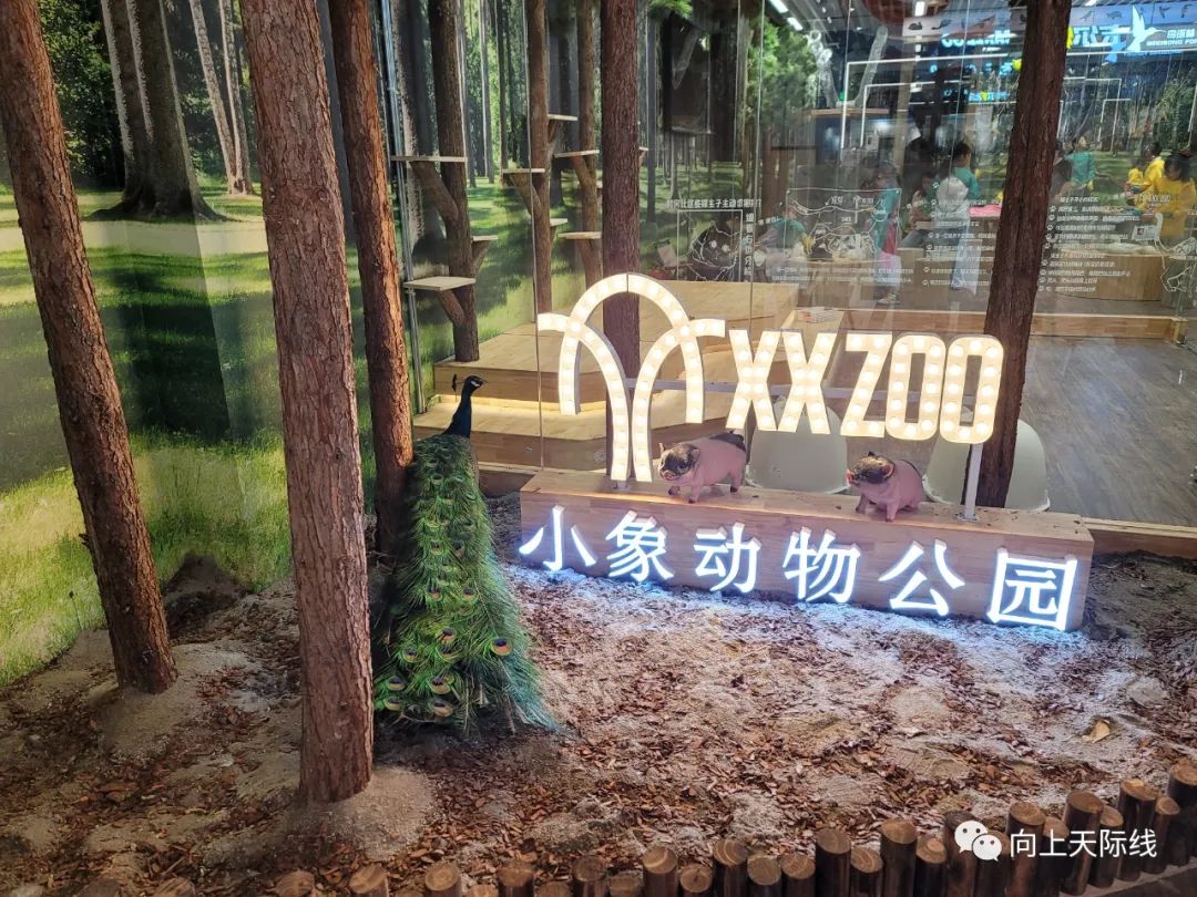 长沙芙蓉龙湖天街2023年开业,龙湖长沙芙蓉天街520全城独享