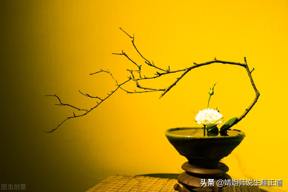 莫名其妙被扣40分了,被扣40分怎么补救