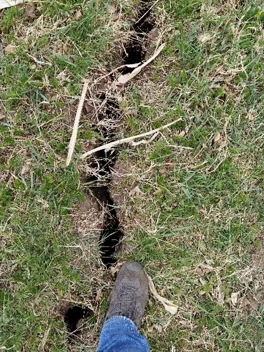 东北黑土退化的原因及措施,东北黑土退化的原因及治理措施