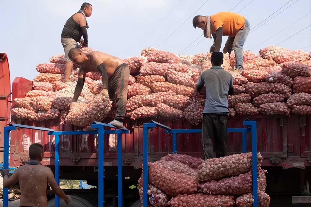 电商助力金乡人，打得一手好“蒜”盘