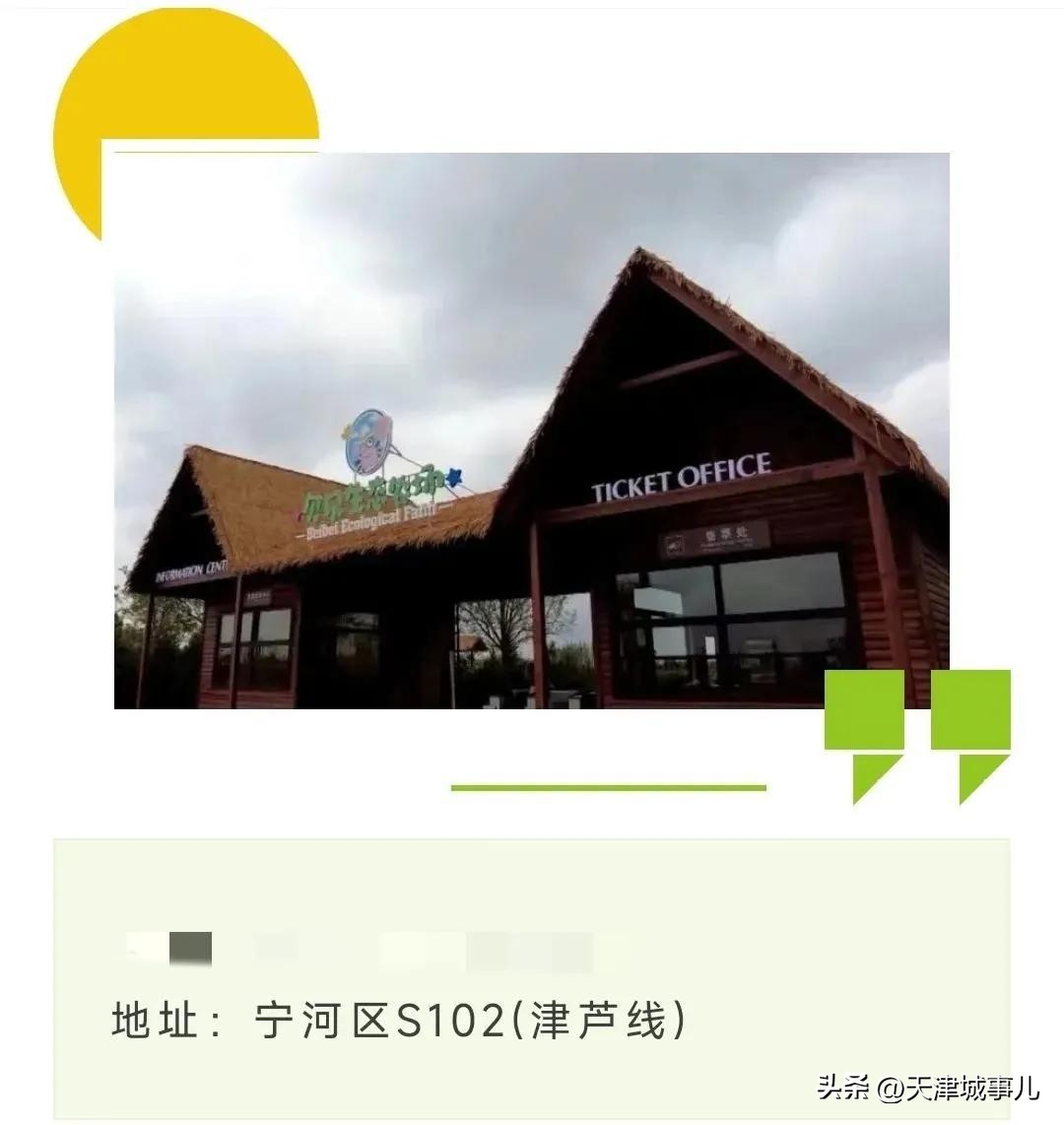 天津野餐烧烤推荐景点,天津免费烧烤景区推荐最新