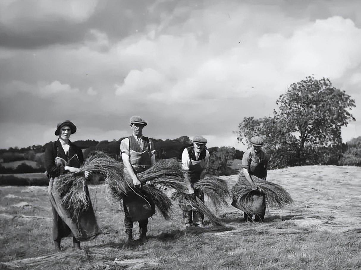 19世纪中后期英国贸易特点,近代与俄不平等的条约汇总