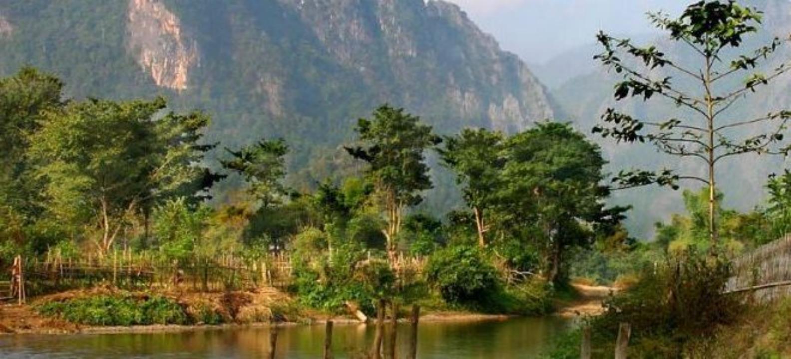 传说西双版纳河里有吸血毯,长得像毛毯的吸血怪物