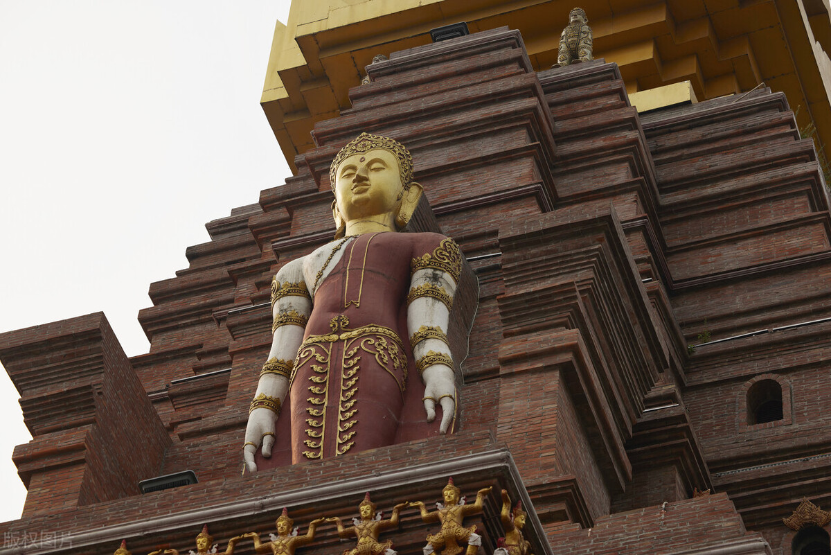 2022西双版纳门票免费的景区,西双版纳望天树景区与热带植物园