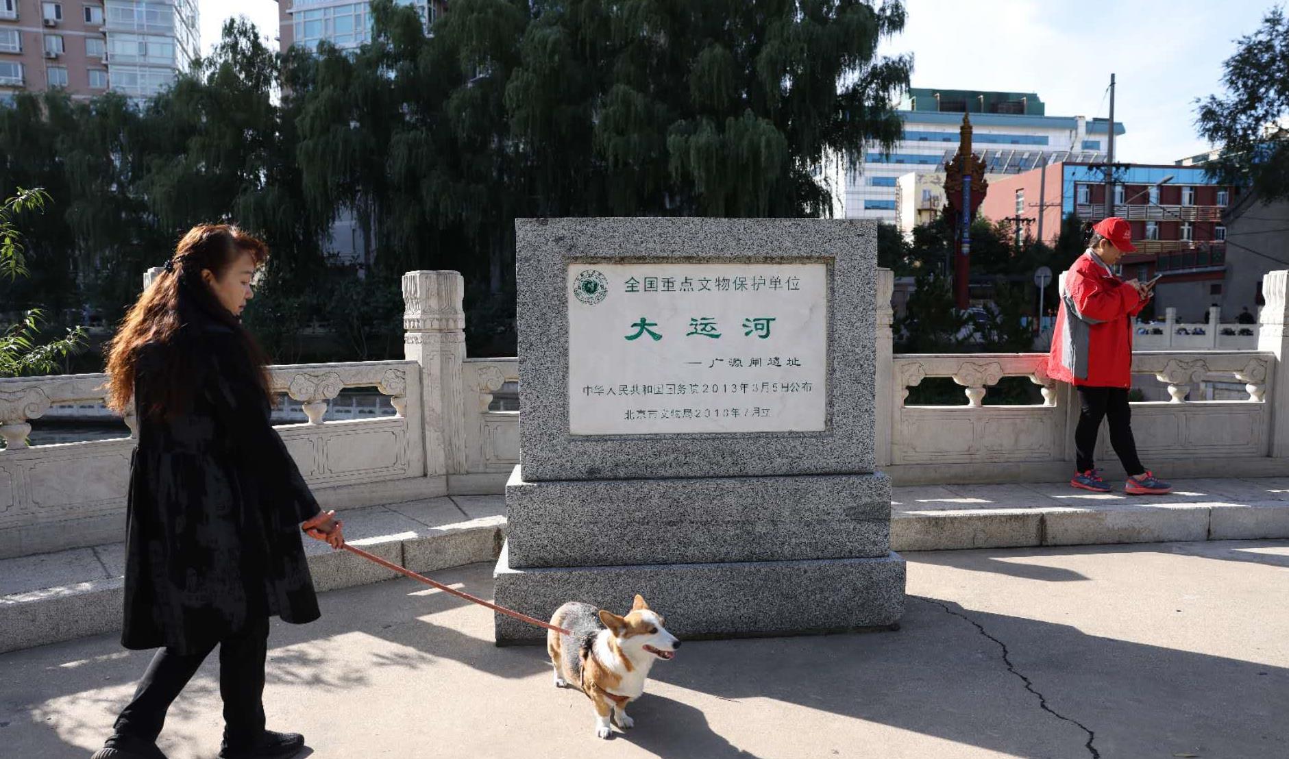 北京的紫竹院公园,北京紫竹院公园在什么地方