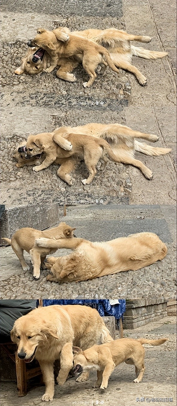 玩转云南自由行,昆明大理丽江6天5晚游多少钱
