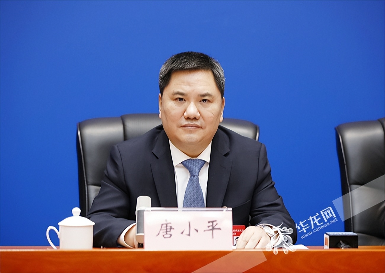 评论代表建议更好助力新重庆建设,重庆两会发展规划