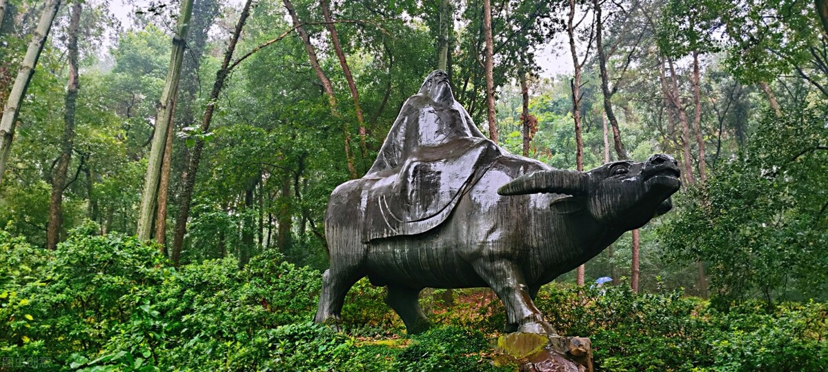 孔子拜访老子为何会吓出一身冷汗,孔子见老子的时候老子是什么职位