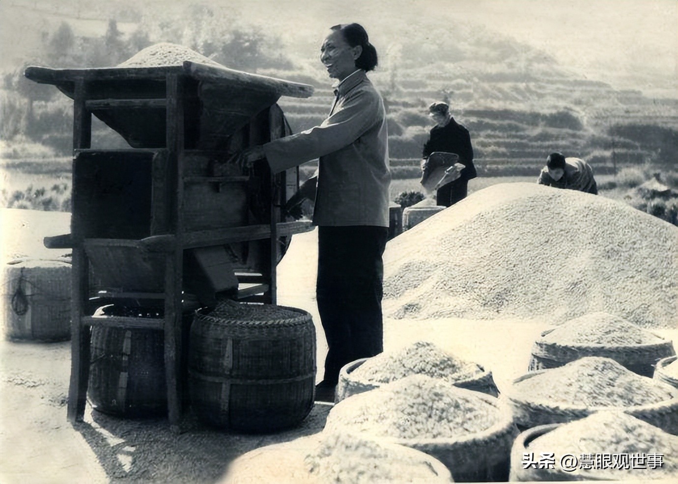 公知造假全知道：网络上的图表也是可以造假的