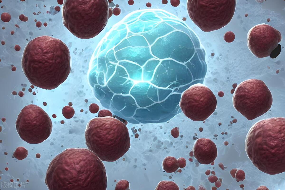 干细胞行业产品发展趋势,干细胞行业前景如何