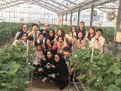 从北到南9集,从北到南看日本第一期