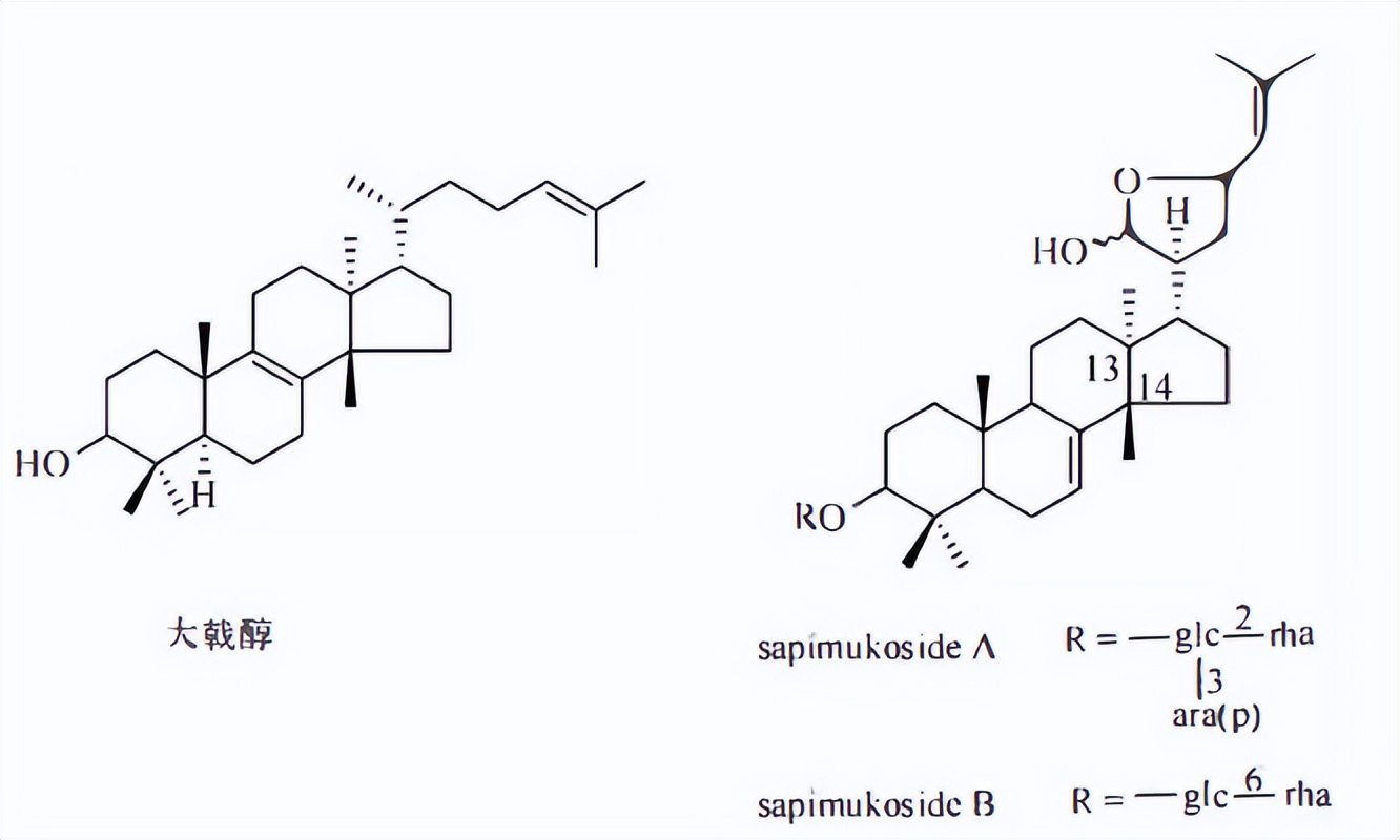哪些植物含有三萜成分最多,萜烯类物质对植物的功效