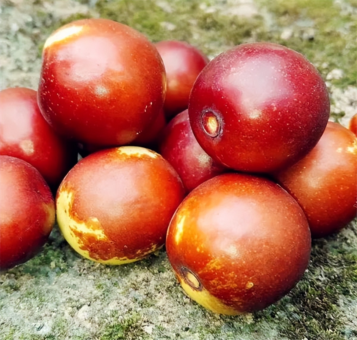 15种中国人能吃且爱吃，而外国人基本不吃的食物，优越感倍增