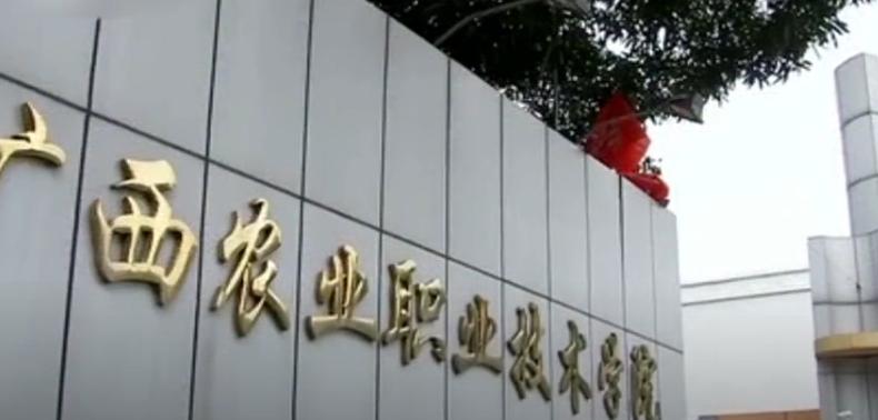 广西小伙养草鱼卖400,5亩养殖草鱼一年能赚500万