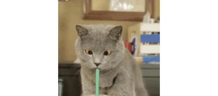 如何正确选择奶瓶和水杯,儿童水杯奶瓶推荐哪种