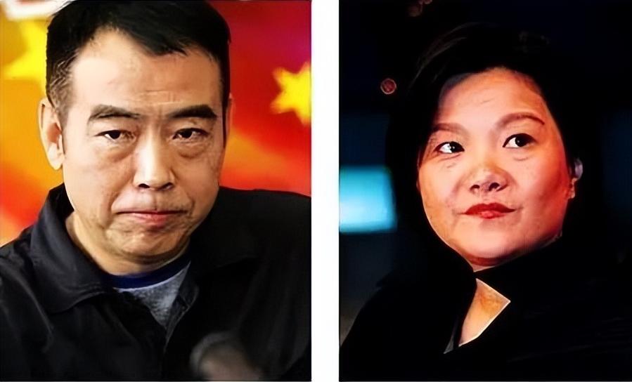 陈凯歌多大娶的陈红,陈凯歌妻子陈红几婚