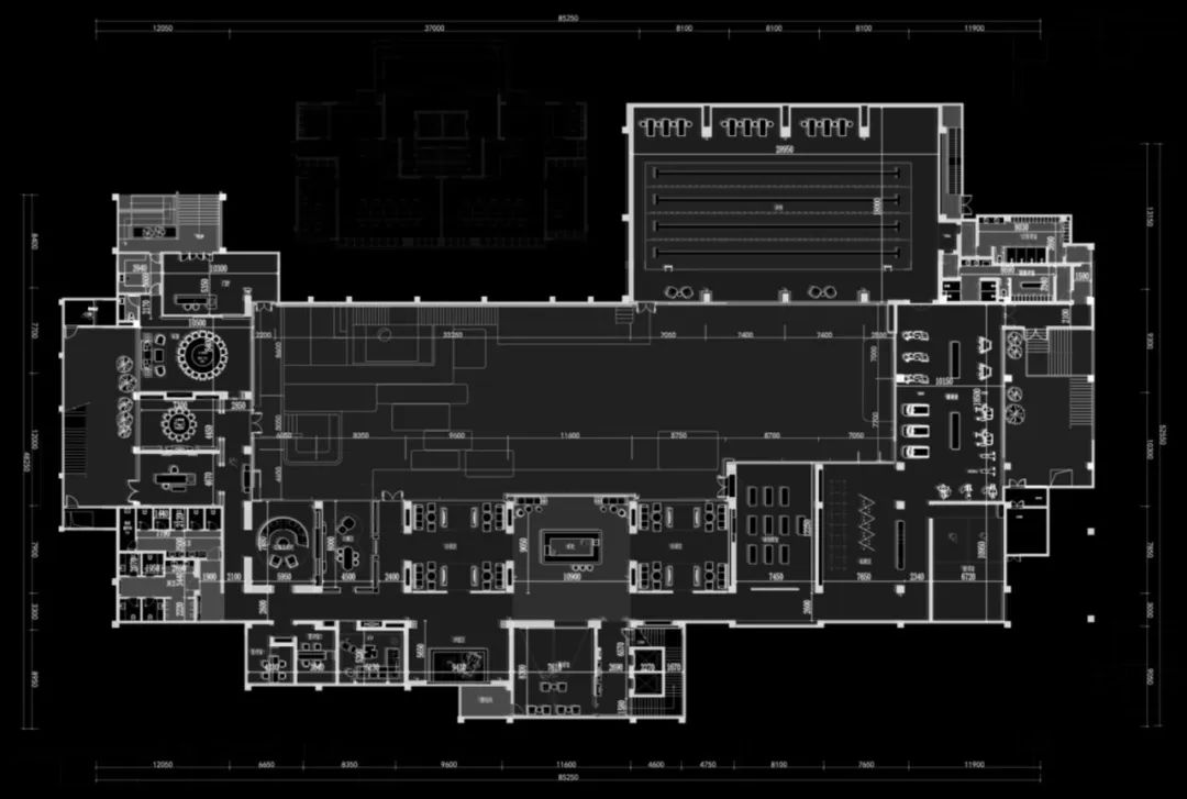 越秀x赛拉维:循金而至,遇水则生