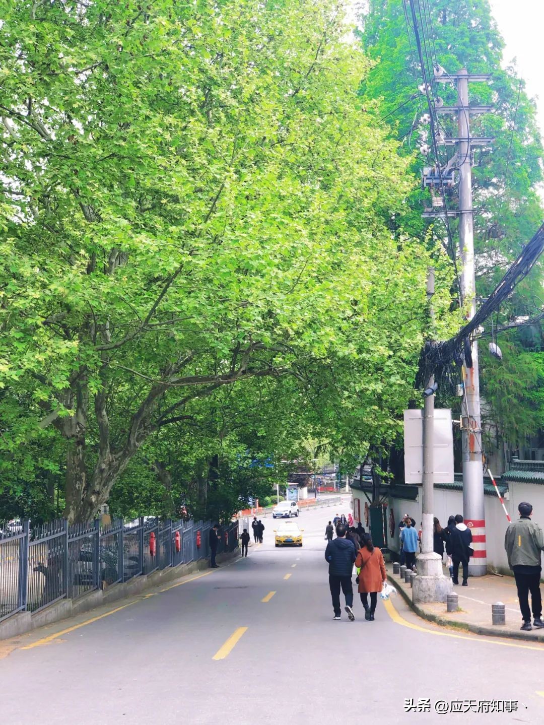 南京皮研所是干嘛的,南京皮研所为什么这么牛