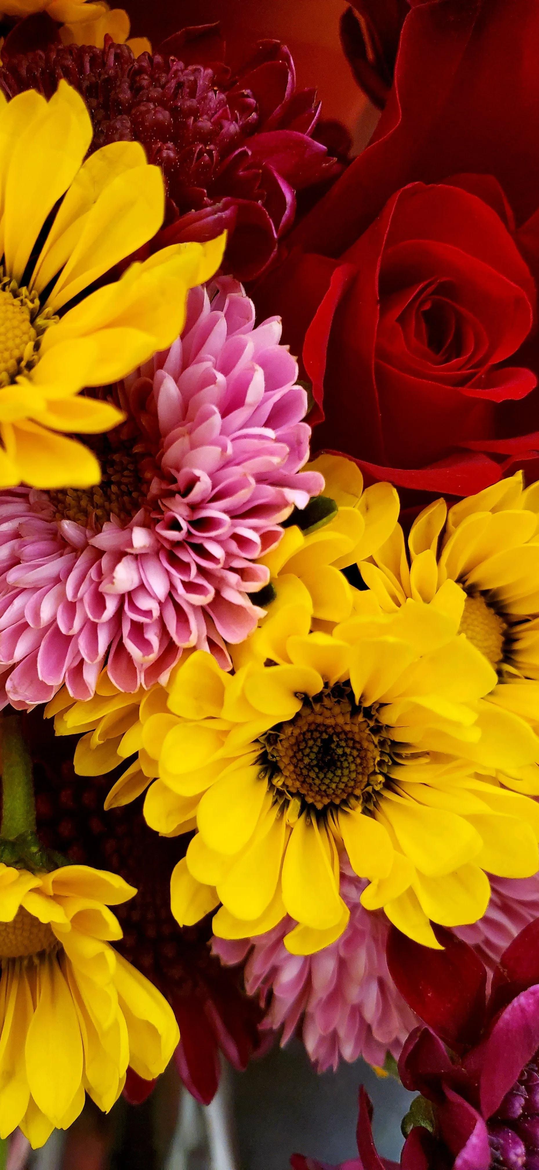 高清壁纸全面屏手机,围棋壁纸高清全面屏